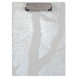 CARPETA DE PINZA 7.ª