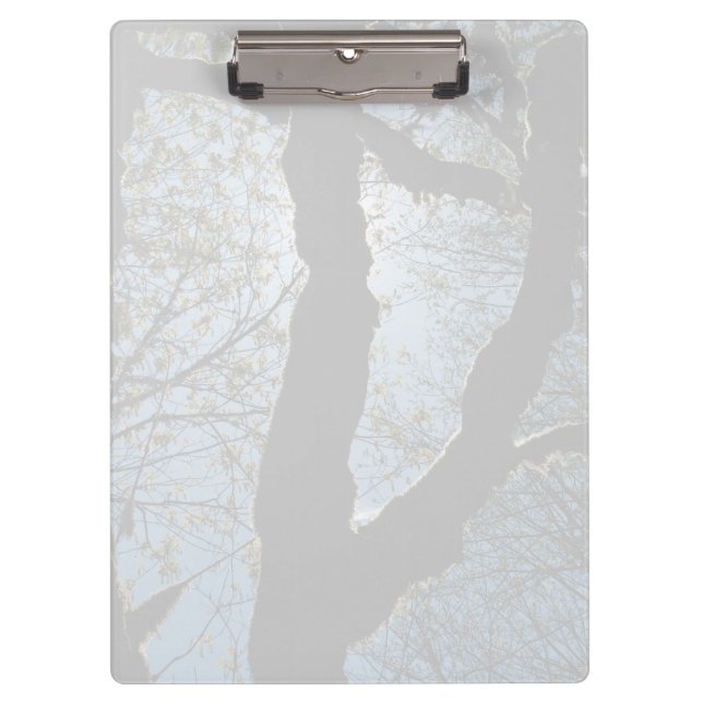 CARPETA DE PINZA 7.ª (Anverso)