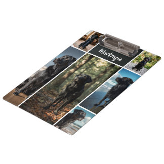 Carpeta De Pinza 8 Collage de Fotos y Texto Personalizado