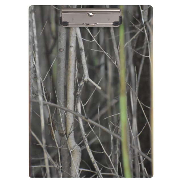 Carpeta De Pinza A Wooded Escape Collection (Anverso)