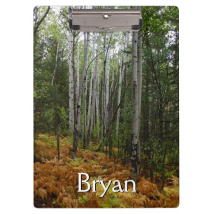 Carpeta De Pinza Abedules y Helechos de Otoño en Rocky Mountain