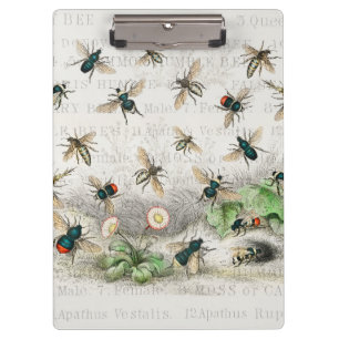 Carpeta De Pinza Abeja Miel Trabajador Reina Abejas Antigüo