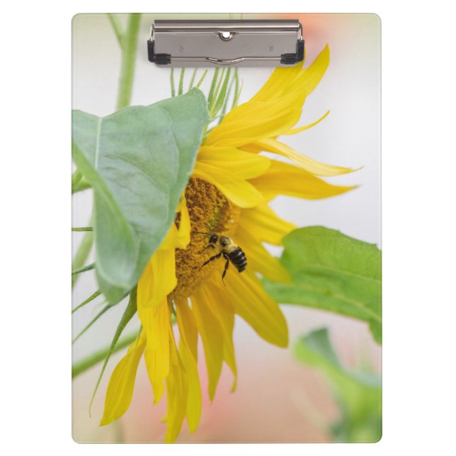 Carpeta De Pinza Abeja y girasol  (Anverso)