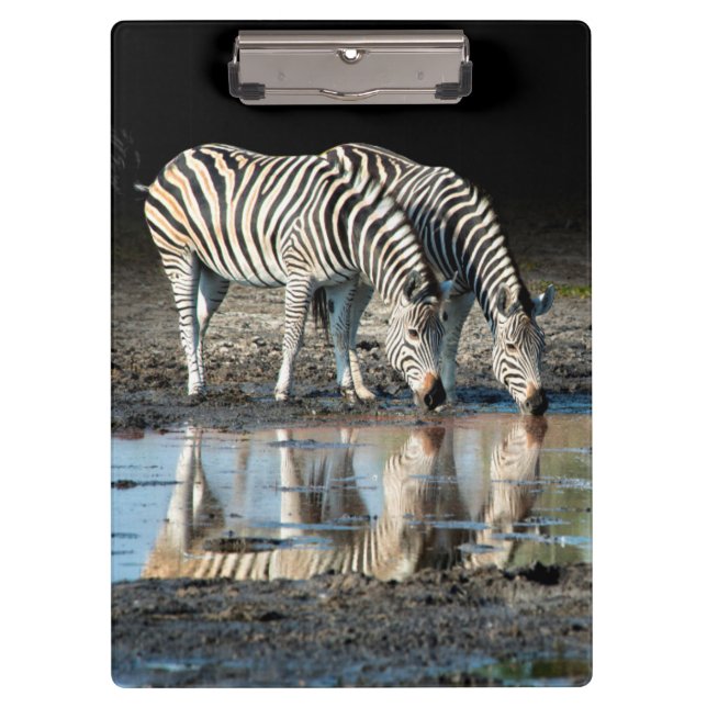 Carpeta De Pinza África,Botsuana, Delta del Okavango, Davison Camp (Anverso)