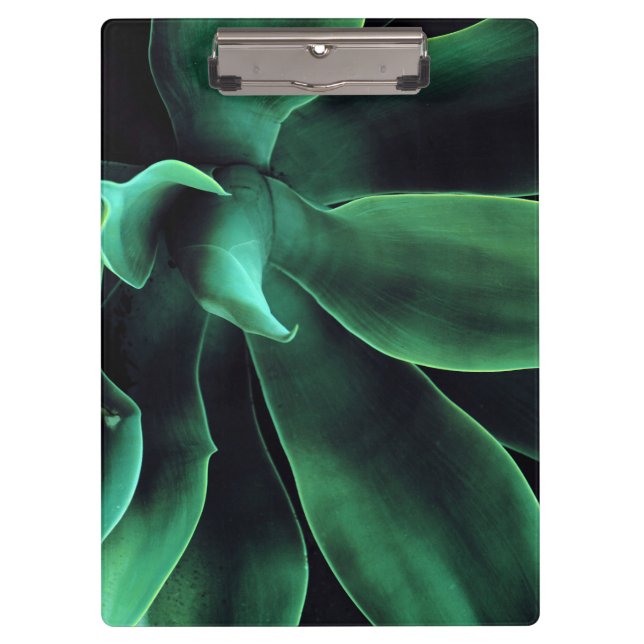 Carpeta De Pinza Agave Attenuata (Anverso)