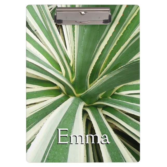 Carpeta De Pinza Agave Plant Green y White Strike (Anverso)