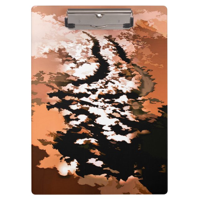 CARPETA DE PINZA AGUA (Anverso)