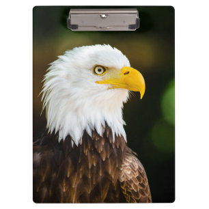 Carpeta De Pinza Águila Calvario Americana Adulta Patriótica