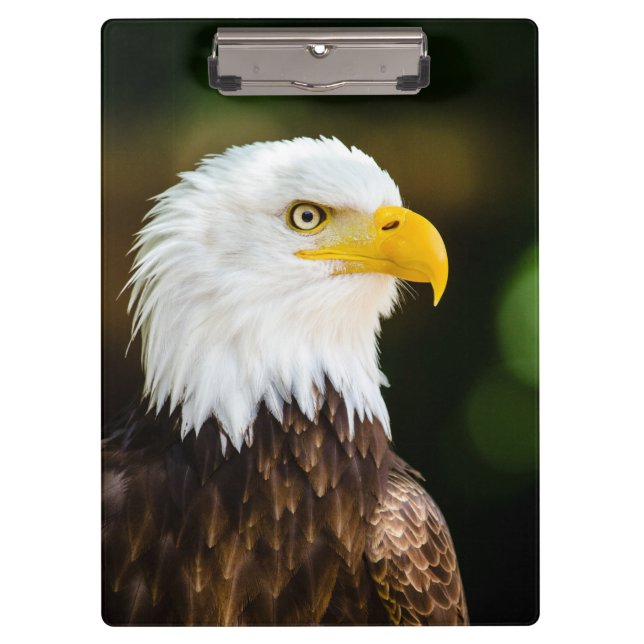 Carpeta De Pinza Águila Calvario Americana Adulta Patriótica (Anverso)