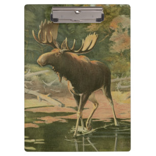 Carpeta De Pinza Alces que caminan en agua