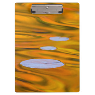 Carpeta De Pinza Almohadilla de lirio en agua naranja, Canadá