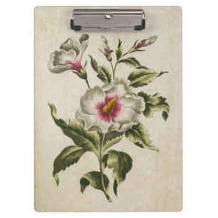 Carpeta De Pinza Althea Frutex Vintage