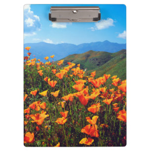 Carpeta De Pinza Amapolas de California cubriendo una ladera