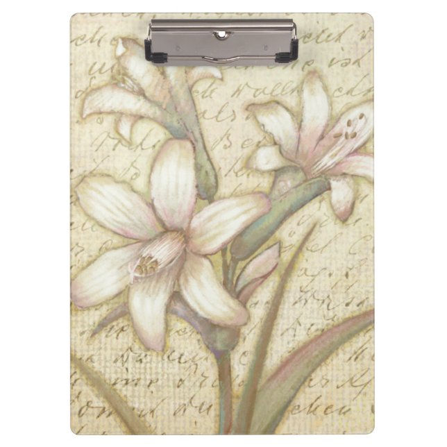 Carpeta De Pinza Amor (Anverso)