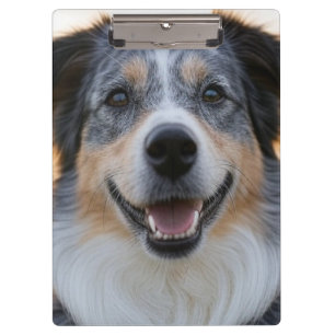 Carpeta De Pinza Añadir Personalizar de fotografía Mascota