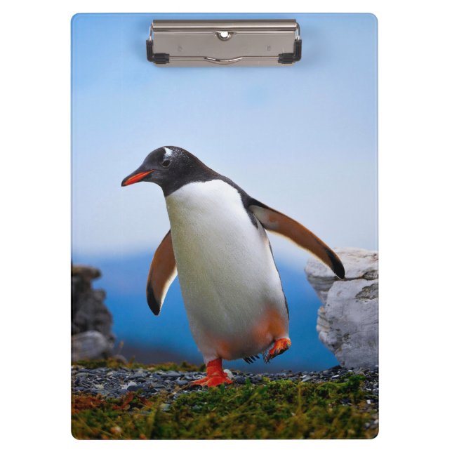 Carpeta De Pinza Añadir sus propios regalos de Personalizados de pl (Anverso)