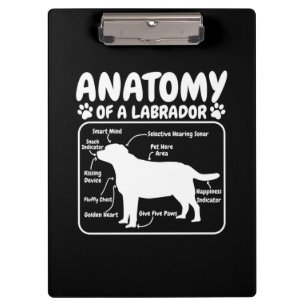 Carpeta De Pinza Anatomía de perro de Labrador