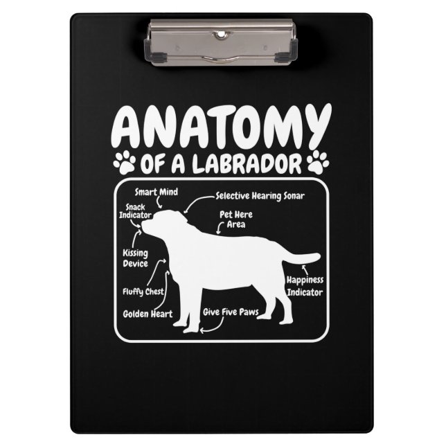 Carpeta De Pinza Anatomía de perro de Labrador (Anverso)