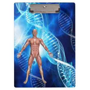 Carpeta De Pinza Anatomía humana con varas de ADN