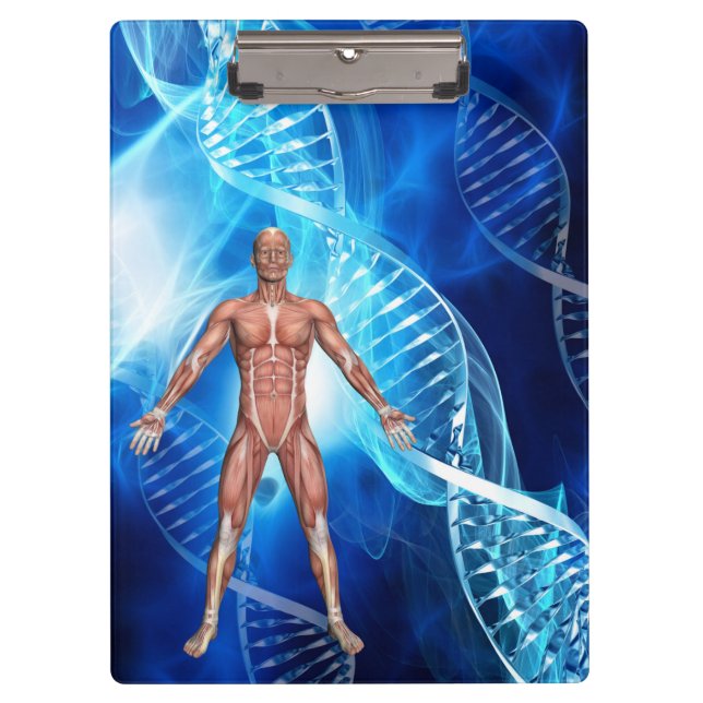 Carpeta De Pinza Anatomía humana con varas de ADN (Anverso)