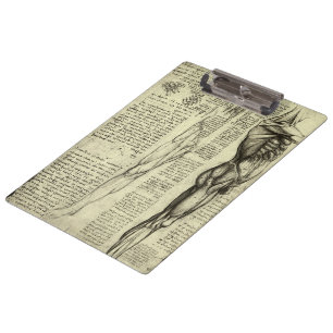 Carpeta De Pinza Anatomía Humana Masculina de Leonardo da Vinci Mús