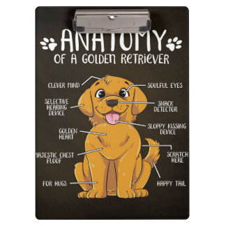 Carpeta De Pinza Anatomy Golden Retriever | Golden Retriever Lover 