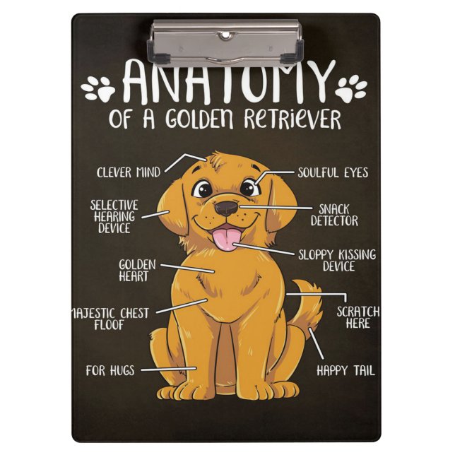 Carpeta De Pinza Anatomy Golden Retriever | Golden Retriever Lover  (Anverso)
