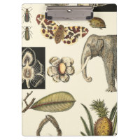 Animales variados pintados con fondo crema