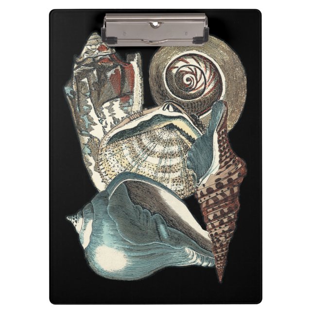 Carpeta De Pinza Antología de las conchas marinas (Anverso)