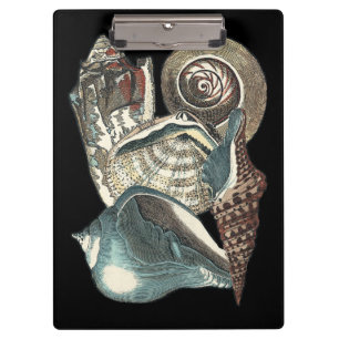 Carpeta De Pinza Antología de Seashell