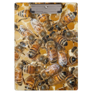 Carpeta De Pinza Apicultura en Arlo's Honey Farm