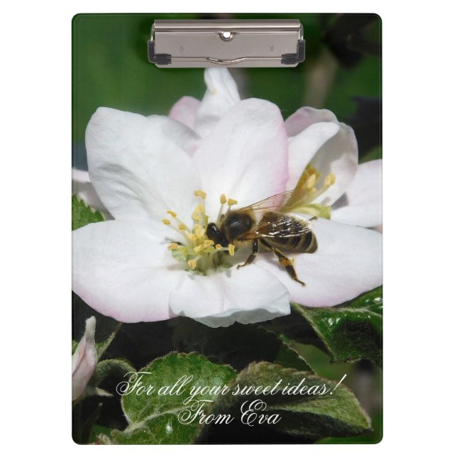 Carpeta De Pinza Apple Blossom & Bee Macro Photo | Custom Clipboard (Anverso)