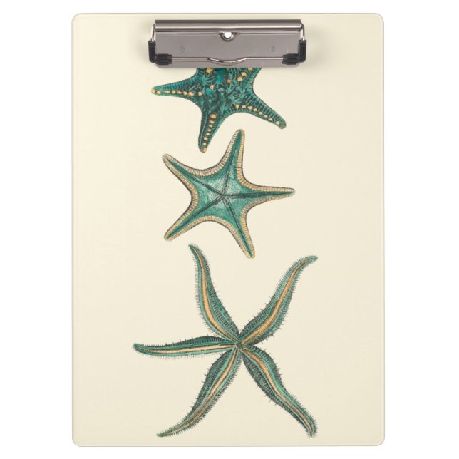 Carpeta De Pinza Aquamarine Triple Starfish (Anverso)