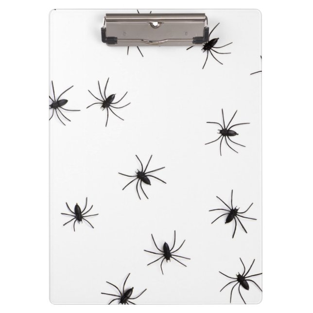 Carpeta De Pinza Aracnofobia (Arañas) (Insectos cobardes asquerosos (Anverso)