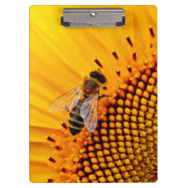 CARPETA DE PINZA ARAÑAS DE MIEL (SUNFLOWER)