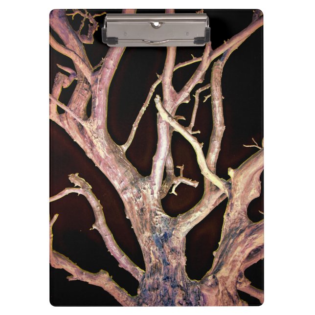 CARPETA DE PINZA ÁRBOL (Anverso)