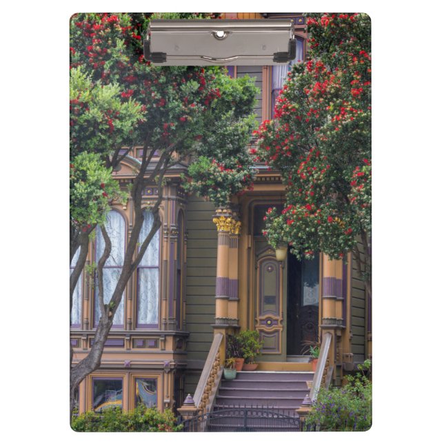 Carpeta De Pinza Árbol de ciruelas rojas floridas con un estilo vic (Anverso)