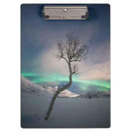 Carpeta De Pinza Árbol de luces boreales