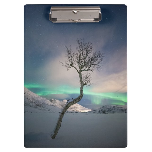 Carpeta De Pinza Árbol de luces boreales (Anverso)