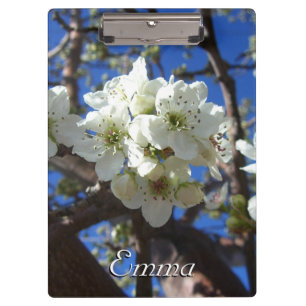 Carpeta De Pinza Árbol de peras florido de primavera de los Cluster