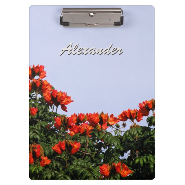 Carpeta De Pinza Árbol de tulipán africano botánico cualquier texto (Anverso)