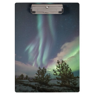 Carpeta De Pinza Árboles de luces del norte
