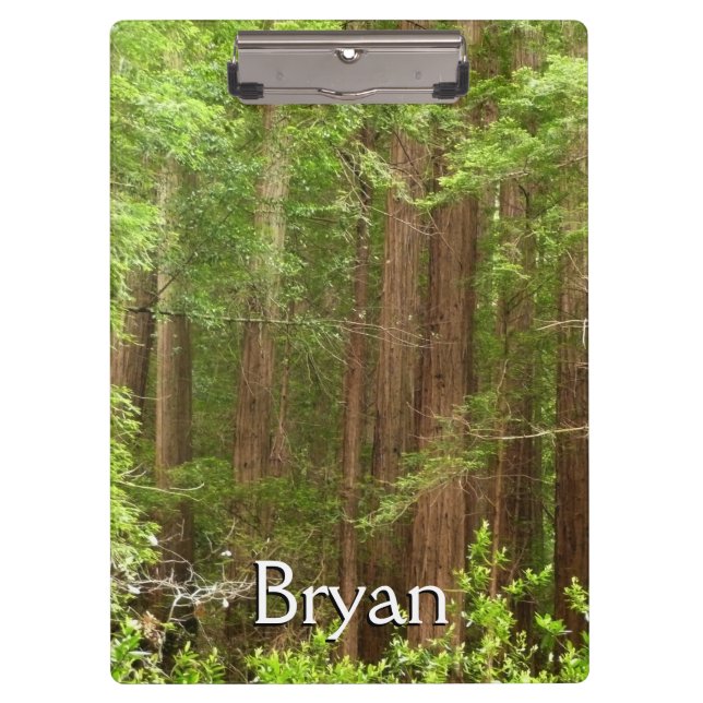 Carpeta De Pinza Árboles de secuoya en monumento nacional Muir Wood (Anverso)