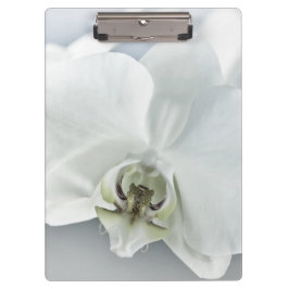 Carpeta De Pinza Arte Botánico de Orquídea Blanca Elegante