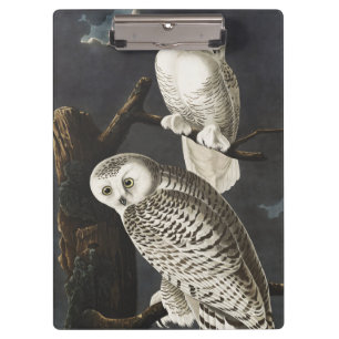 Carpeta De Pinza Arte de ave nocturna de búho nevado vintage Audubo