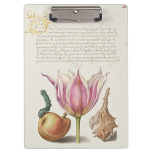 Carpeta De Pinza Arte de Caligrafía del Renacimiento Tulipán Rosa y