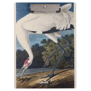 Carpeta De Pinza Arte de la naturaleza del ave grulla trompetera vi