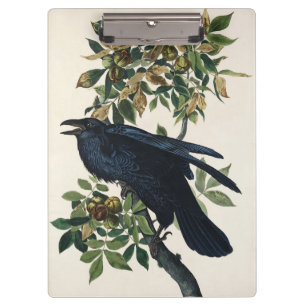 Carpeta De Pinza Arte de la naturaleza del cuervo de Audubon vintag