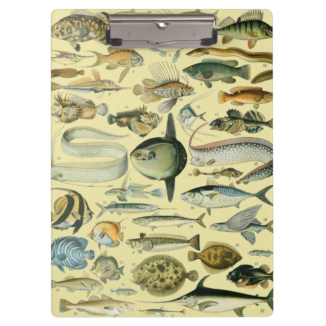 Carpeta De Pinza Arte de pesca científica de peces de época (Anverso)