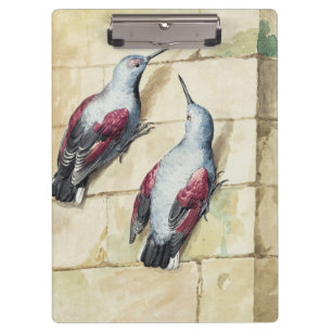 Carpeta De Pinza Arte en Acuarela de Pájaro Rojo y Gris Vintage